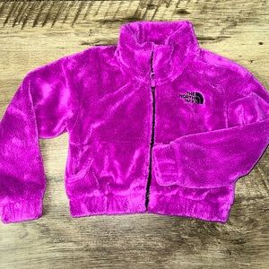 EUC (worn once) Cropped Osito North Face Girl